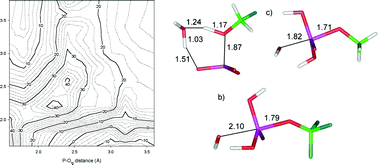 Graphical abstract: The effect of leaving group on mechanistic preference in phosphate monoester hydrolysis
