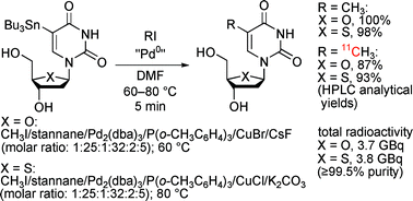 Graphical abstract: Highly efficient syntheses of [methyl-11C]thymidine and its analogue 4′-[methyl-11C]thiothymidine as nucleoside PET probes for cancer cell proliferation by Pd0-mediated rapid C-[11C]methylation
