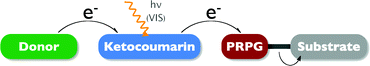 Graphical abstract: Ketocoumarin dyes as electron mediators for visible light induced carboxylate photorelease