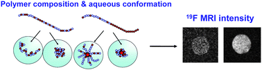 Graphical abstract: Synthesis and evaluation of partly fluorinated polyelectrolytes as components in 19F MRI-detectable nanoparticles