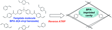 Graphical abstract: Highly selective bisphenol A—imprinted polymers prepared by atom transfer radical polymerization