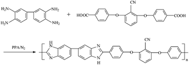 Graphical abstract: Synthesis and properties of poly[2,2′-(4,4′-(2,6-bis(phenoxy) benzonitrile))-5,5′-bibenzimidazole] for proton conducting membranes in fuel cells