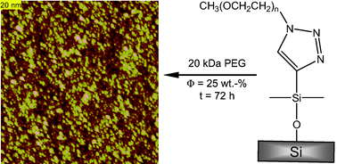 Graphical abstract: Poly(ethylene glycol) brushes grafted to silicon substrates by click chemistry: influence of PEG chain length, concentration in the grafting solution and reaction time