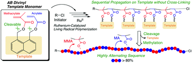 Graphical abstract: Design of AB divinyl “template monomers” toward alternating sequence control in metal-catalyzed living radical polymerization