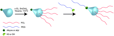 Graphical abstract: Linear dendritic polymeric amphiphiles with intrinsic biocompatibility: synthesis and characterization to fabrication of micelles and honeycomb membranes