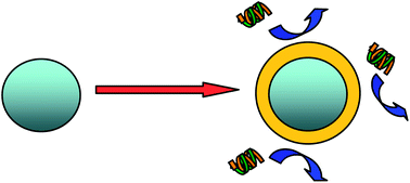 Graphical abstract: Functionalization of inorganic nanoparticles with polymers for stealth biomedical applications