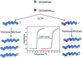 Graphical abstract: Synthesis and modification of thermoresponsive poly(oligo(ethylene glycol) methacrylate) via catalytic chain transfer polymerization and thiol–ene Michael addition