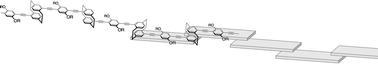 Graphical abstract: Through-space conjugated polymers consisting of [2.2]paracyclophane
