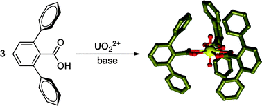 Graphical abstract: Encapsulation of the uranyl dication
