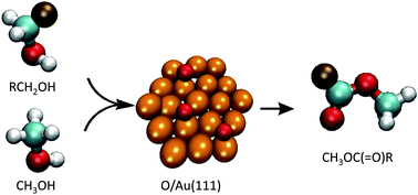 Graphical abstract: Oxygen-assisted cross-coupling of methanol with alkyl alcohols on metallic gold