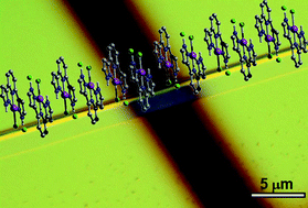 Graphical abstract: Single microcrystals of organoplatinum(II) complexes with high charge-carrier mobility