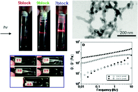 Graphical abstract: Reversible hydrogels from amphiphilic polyelectrolyte model multiblock copolymers: the importance of macromolecular topology