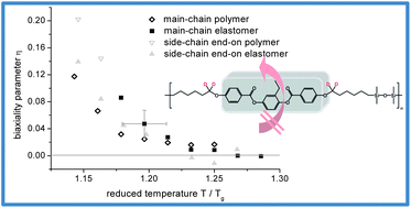 Graphical abstract: Molecular dynamics and biaxiality of nematic polymers and elastomers