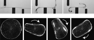 Graphical abstract: Bending and twisting of soft materials by non-homogenous swelling