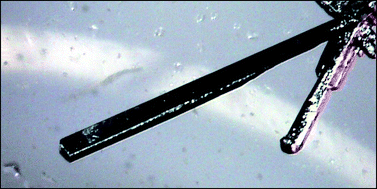 Graphical abstract: Crystallic silver amalgam – a novel electrode material