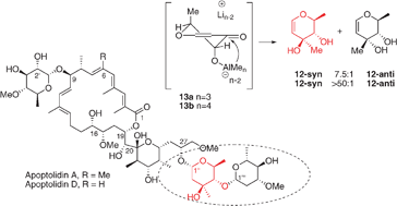 Graphical abstract: Noteworthy observations accompanying synthesis of the apoptolidin disaccharide