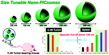 Graphical abstract: Size-controlled long-circulating PICsome as a ruler to measure critical cut-off disposition size into normal and tumor tissues