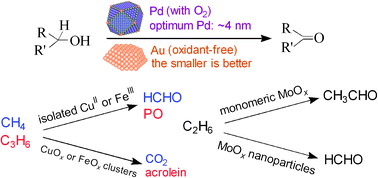 Graphical abstract: Effect of size of catalytically active phases in the dehydrogenation of alcohols and the challenging selective oxidation of hydrocarbons