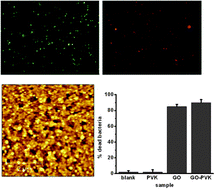 Graphical abstract: Antimicrobial graphene polymer (PVK-GO) nanocomposite films