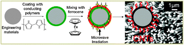 Graphical abstract: Poptube approach for ultrafast carbon nanotube growth