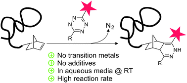 Graphical abstract: Inverse electron-demand Diels–Alder reactions for the selective and efficient labeling of RNA