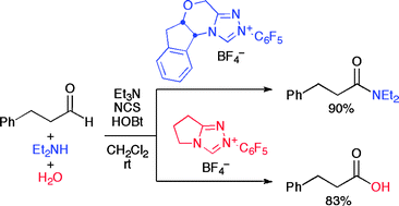 Graphical abstract: Chemoselective conversion of α-unbranched aldehydes to amides, esters, and carboxylic acids by NHC-catalysis