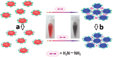 Graphical abstract: A novel detection technique of hydrazine hydrate: modality change of hydrogen bonding-induced rapid and ultrasensitive colorimetric assay