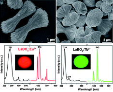 Graphical abstract: Uniform and well-dispersed LaBO3 hierarchical architectures: synthesis, formation, and luminescence properties