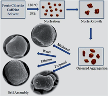 Graphical abstract: Solvent controlled synthesis of new hematite superstructures with large coercive values