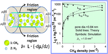 Graphical abstract: Molecular transport in nanopores: a theoretical perspective