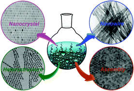 Graphical abstract: Controlled synthesis of semiconductor nanostructures in the liquid phase