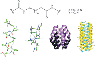 Graphical abstract: Peptidic foldamers: ramping up diversity