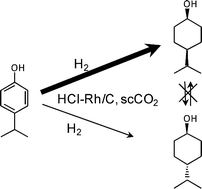 Graphical abstract: Kinetic analysis of 4-isopropylphenol hydrogenation over activated carbon-supported rhodium catalysts in supercritical carbon dioxide solvent