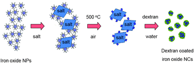 Graphical abstract: Transformation of hydrophobic iron oxide nanoparticles to hydrophilic and biocompatible maghemite nanocrystals for use as highly efficient MRI contrast agent