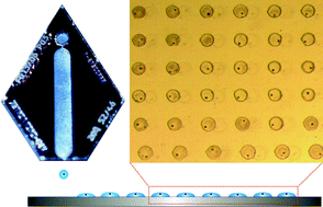 Graphical abstract: Inkjet-like printing of single-cells