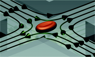 Graphical abstract: Feedback control system simulator for the control of biological cells in microfluidic cross slots and integrated microfluidic systems