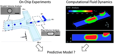 Graphical abstract: Systematic investigation of droplet generation at T-junctions