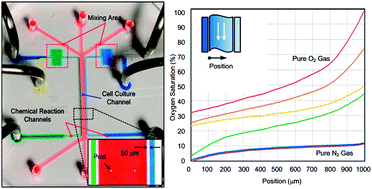 Graphical abstract: Generation of oxygen gradients in microfluidic devices for cell culture using spatially confined chemical reactions