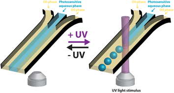 Graphical abstract: Photoreversible fragmentation of a liquid interface for micro-droplet generation by light actuation