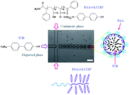 Graphical abstract: Microfluidic formation of pH responsive 5CB droplets decorated with PAA-b-LCP