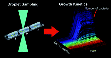Graphical abstract: Millifluidic droplet analyser for microbiology