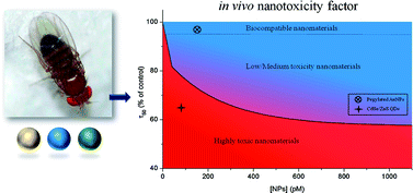 Graphical abstract: Physical assessment of toxicology at nanoscale: nano dose-metrics and toxicity factor