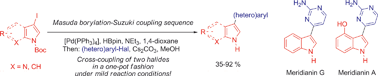 Graphical abstract: Rapid synthesis of bis(hetero)aryls by one-pot Masuda borylation–Suzuki coupling sequence and its application to concise total syntheses of meridianins A and G
