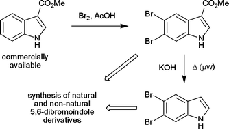 Graphical abstract: Regioselective dibromination of methyl indole-3-carboxylate and application in the synthesis of 5,6-dibromoindoles