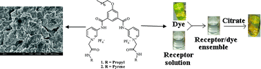 Graphical abstract: Pyridinium-based symmetrical diamides as chemosensors in visual sensing of citrate through indicator displacement assay (IDA) and gel formation