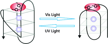 Graphical abstract: Light-driven conformational regulation of human telomeric G-quadruplex DNA in physiological conditions