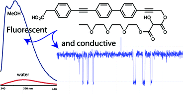 Graphical abstract: Synthesis and ion transport activity of oligoesters containing an environment-sensitive fluorophore