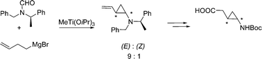 Graphical abstract: Stereoselective preparation of β,γ-methano-GABA derivatives