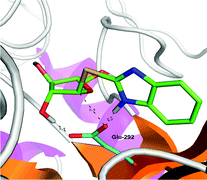 Graphical abstract: Exploring the synthetic potency of the first furanothioglycoligase through original remote activation