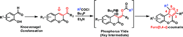 Graphical abstract: Syntheses of furo[3,4-c]coumarins and related furyl coumarin derivatives via intramolecular Wittig reactions
